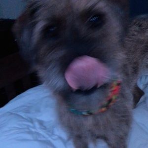 Meet your Posher, Alex